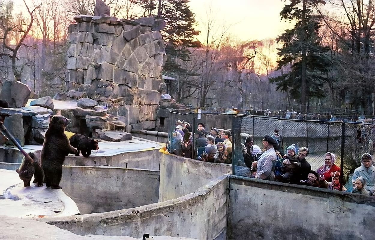 Зоопарк в 60-х